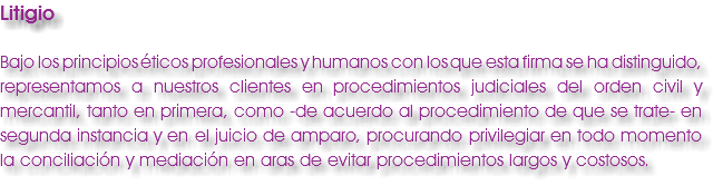 Litigio Bajo los principios éticos profesionales y humanos con los que esta firma se ha distinguido, representamos a nuestros clientes en procedimientos judiciales del orden civil y mercantil, tanto en primera, como -de acuerdo al procedimiento de que se trate- en segunda instancia y en el juicio de amparo, procurando privilegiar en todo momento la conciliación y mediación en aras de evitar procedimientos largos y costosos.